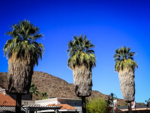 Greater Palm Springs (Ca)